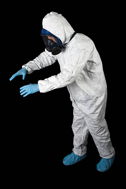 Best Asbestos and Lead Testing During Mold Inspection  in East Sparta, OH