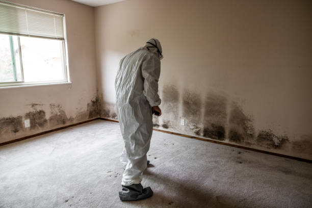 Best Residential Mold Inspection & Testing  in East Sparta, OH